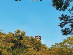 -红花山公园