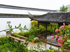 -金庸书院