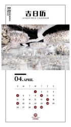 -花轿喜屋婚礼策划