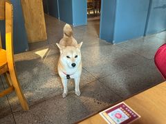 -GOIN CAFE 光阴咖啡馆