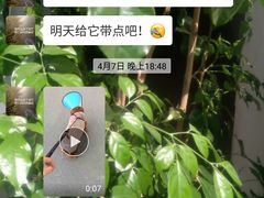 -丹景宠物医院·全科·老年病·牙科(武昌诊疗中心)