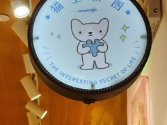 -猫的天空之城概念书店(大学路店)