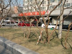 iphone_upload_pic-马凯餐厅(长椿街店)