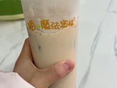 -猫的魔法密林(衣裳街店)