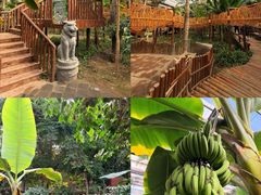 -呀路古热带植物园