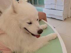 -怪兽屋·羊驼·猫咖·狗咖(俊华广场店)