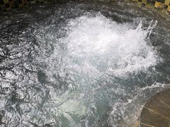 -三亚珠江南田温泉度假区