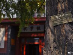 -四川大学(望江校区)