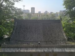 -高尔山公园