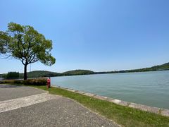 -上海月湖雕塑公园