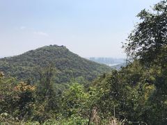-九曜山