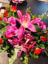 -TWOFACE 双面理发馆