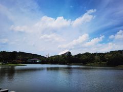 -上海佘山世茂艾美酒店