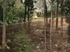 -泉州海丝野生动物世界