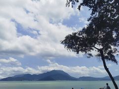 -城墙外BAR