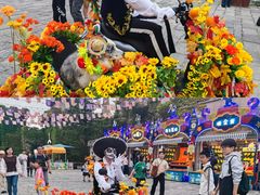 -大连海昌发现王国主题公园