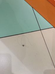 -天空之城家庭互动游乐场