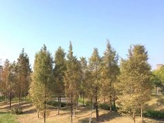 -福州大学(旗山校区)