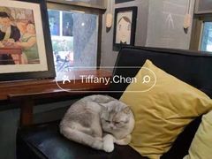 -咖法森林·咖啡  酒吧(天河店)