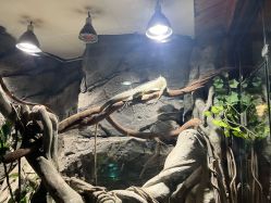 -Zoolung Zoolung动物主题公园(海信广场店)