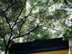 -法云安缦酒店