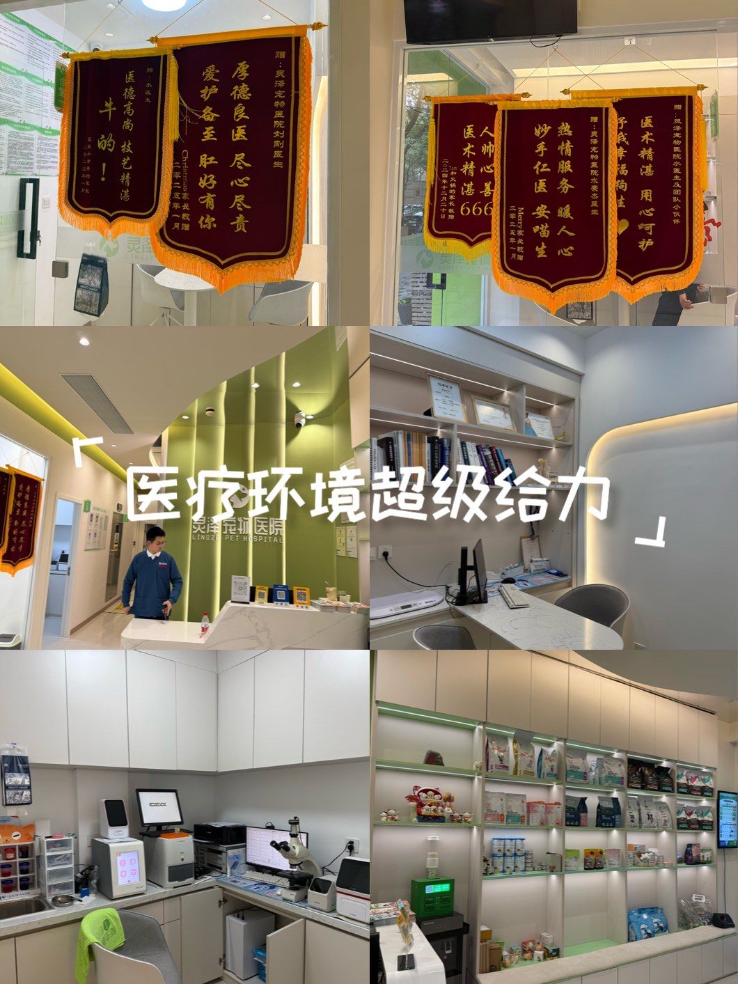 关于北京307医院、医院陪诊，健康咨询代帮挂号，良心办事实力挂号的信息