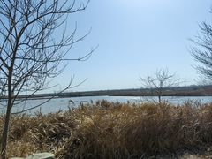 -盐城丹顶鹤湿地生态旅游区