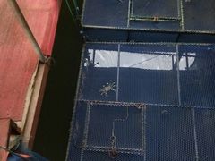 -君豪蟹都·湖景·农家乐(蟹舫苑店)