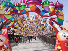 -沈阳奥体冰雪嘉年华