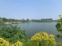 -东郊湿地公园