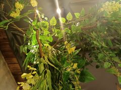 -湘当爱·鲜煮现炒(松岗立业路店)
