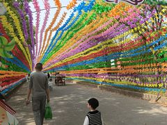 -上海都市菜园