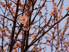 -杭州城北体育公园