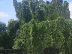 -上海月湖雕塑公园