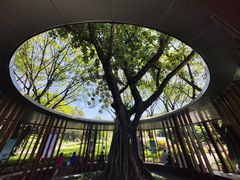 -云溪植物园