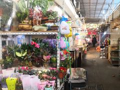 -万商花鸟市场