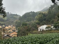 -杨家堂村