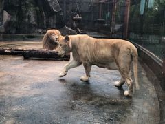 -南昌动物园