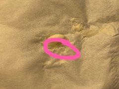 -巴黎贝甜(卫清西路店)