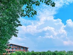 -池杉湖湿地公园