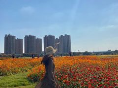 -映月湖中央公园