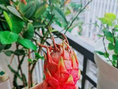 -广州达镖国际酒店