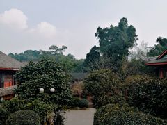 -峨眉山报国寺