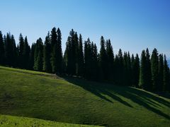 -新疆那拉提国家旅游度假区