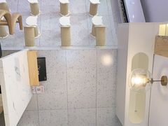 -喵园·猫主题咖啡厅·撸猫·猫咖(国贸店)