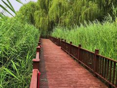 -北京麋鹿生态实验中心