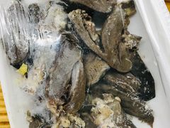 羊心-蔡记·九米羊肉炉(东渡店)