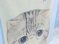 -喵的天空名猫咖啡馆·撸猫·猫舍·用品