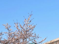 -龙美术馆(西岸馆)