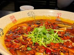 -陈麻婆豆腐(旗舰店)
